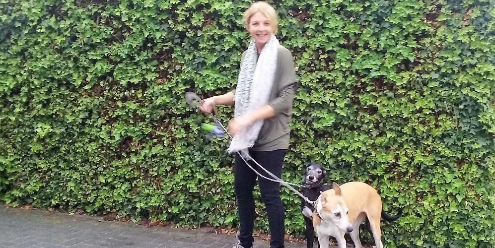 a person walking two dogs
