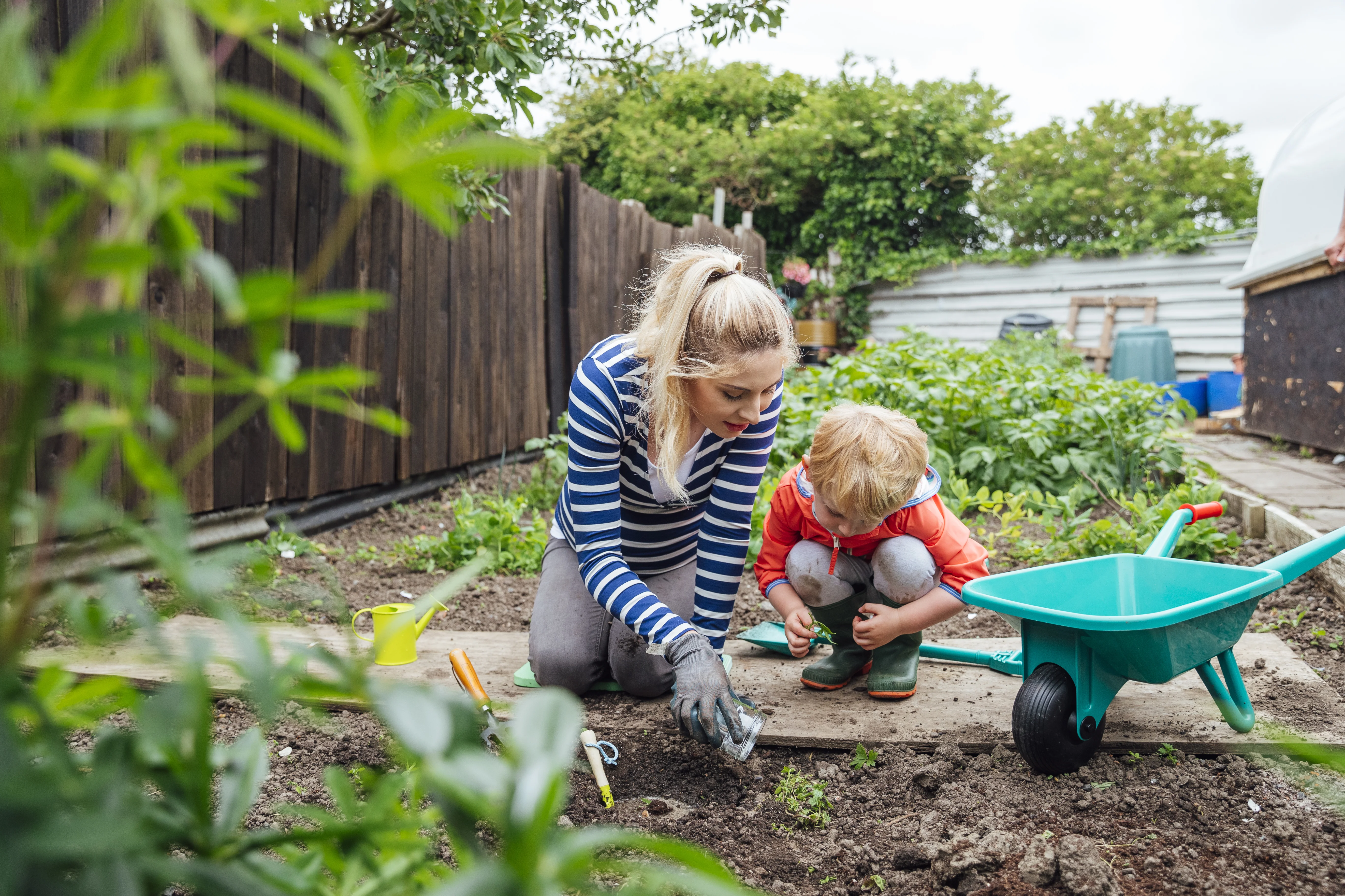 a person and a child planting plants